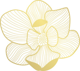 magnolia flower gold line art