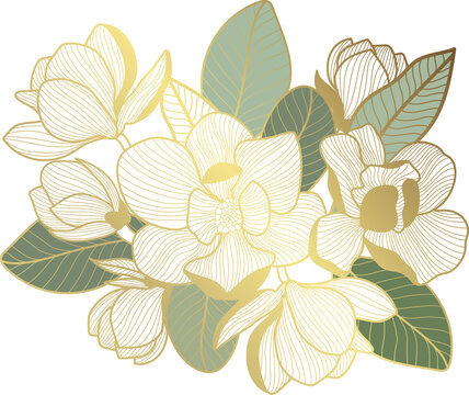 gold line art magnolia flowers and leaves clip art preview