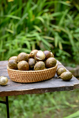 Matoa (Pometia pinnata) is a fruit plant typical of Papua. Has sweet taste, thick flesh like longan and has a durian smell. Also known as island lychee, tava, Pacific lychee. Served on basket
