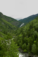 Fototapeta premium Mountain river Chulcha in Altay Russia