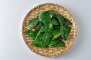 Daun Jeruk Purut. In typical Indonesian cuisine, kaffir lime leaves are often used as a cooking spice. Starting from soup, curry, rice, stir fry, chips, to salads.
