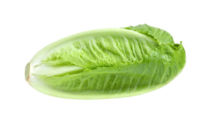 Fresh cos lettuce isolated on transparent png - obrazy, fototapety, plakaty