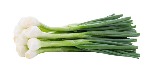 Green onion isolated on transparent png