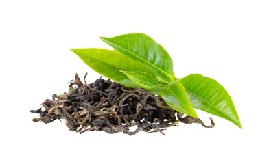 Fresh green tea leaf and dry  isolated on transparent png