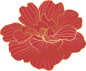 Red peony flower cwith golden line art
