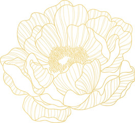 golden peony flower line art © TWINS DESIGN STUDIO