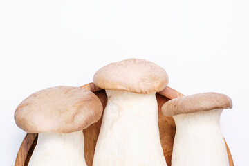 King oyster mushrooms on white background close-up.