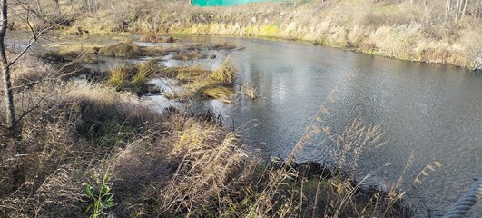 river and grass