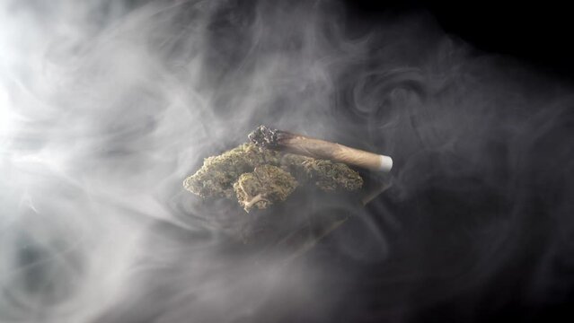 Heavy smoke over cannabis joint and weed flower buds in coffeeshop atmosphere