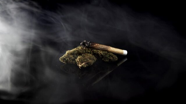 Smoke dark background with burning cannabis weed blunt and hemp flower buds