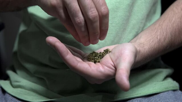 Close up on man hands grinding medicinal cannabis weed in order to make a joint