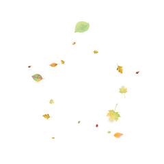 Leaves Falling Autumn Foliage Chaotic Leaf Flying