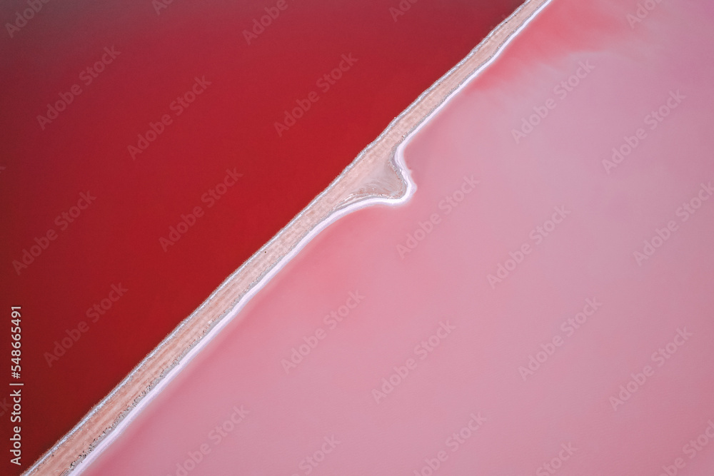 Wall mural Top down perspective of the pink colored Hutt Lagoon in Western Australia