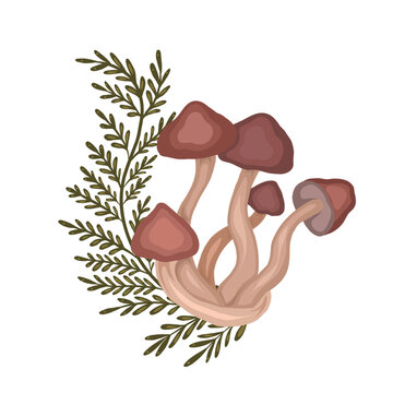 recommend clip art: Illustration of colorful cartoon false mushroom with fern stems on white background. Honey mushrooms with herbal decoration. Vector drawing