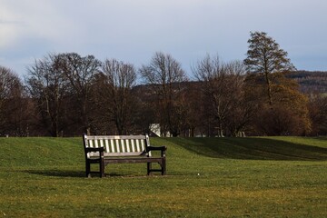 bench in the park