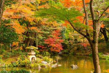 成田山公園紅葉まつり