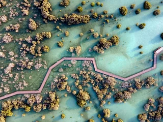Foto op Plexiglas Abu Dhabi Aerial view of mangroves in Abu Dhabi. Special eco system, natural environment.