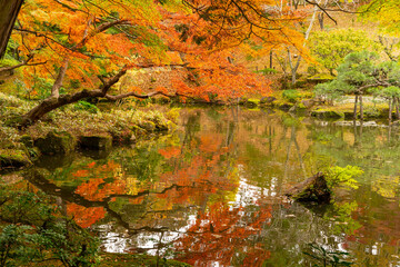 成田山公園紅葉まつり