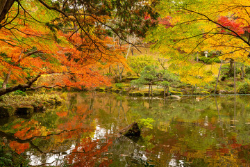 成田山公園紅葉まつり