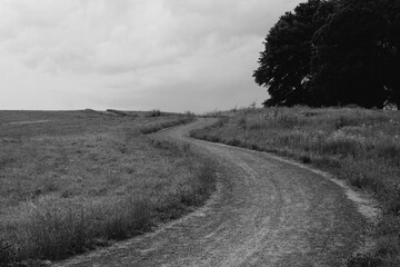 Road surrounded by grass and trees in black and white
