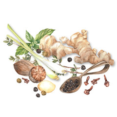 Spices Watercolor. Set. Illustration for clipart. Designed for menus, culinary blogs, packaging, textiles, web design, sites, stickers, invitations, patterns, logos. Drawn by hand.