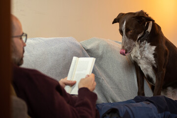 white, nailed, bespectacled man reading a book on the sofa, accompanied by his dog.