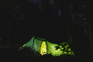 Beautiful view of a green tent in a forest with trees