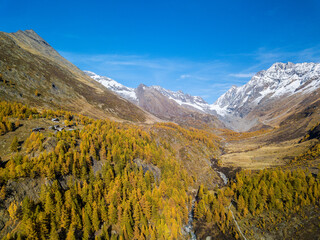 Aerial view of the Fafler in Lötschental valley in autumn with yellow larch trees and the Longza river under and Long Glacier (Langgletsche) at the background
