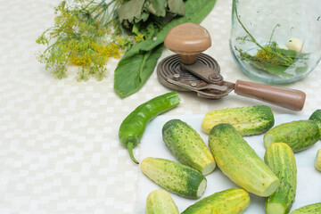 Cucumbers with green hot pepper and herbs on the table prepared for conservation. Selective focus. Harvest fall preparations 