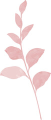 Watercolor leaf branch illustration