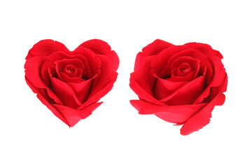 Rose heart isolated on white with clipping path included.