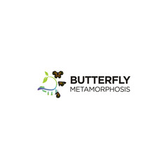 Butterfly Company