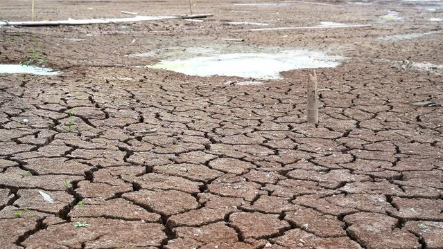The cracks soil texture are global climate change and drought. time lapse evaporation from soil. dry, cracked earth. increased temperatures, global warming, environment and ecology.
