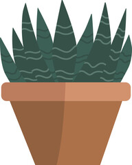 cactus plant in a minimalist style pot.