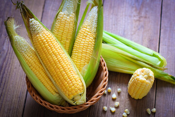Corn on the cob, Sweet corn for cooking food, Fresh corn on wooden background, Harvest ripe corn organic