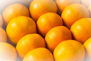 きれいに箱に詰められた温州みかん