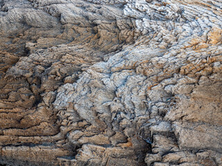 texture of log covered with salt