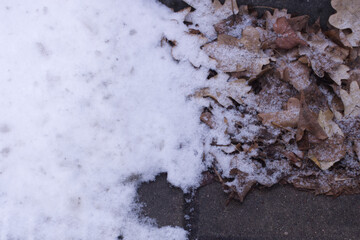 Last dry autumn leafs on melting snow street road top view. First snow. 