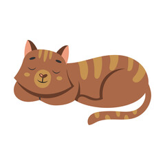 Fototapeta premium Cute cat sleep sweetly, cartoon character vector illustration. Cat and kitty sitting on white background. Pets, domestic animals