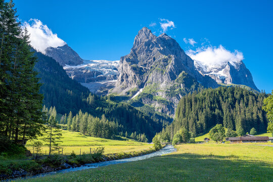 Wundersch&ouml;ne Rosenlaui Schlucht im Morgenlicht im Berner Oberland in der Schweiz. Sch&ouml;ner Sommertag mit saftiger Wiese und Bergen im Hintergrund