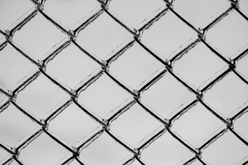 Naklejka premium Metal mesh with a layer of ice on it during freezing rain in winter, frostbite and environment, weather