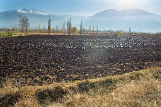Plowed farmland. Agriculture scene of plowed and dry copland after harvest.
