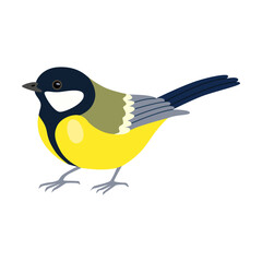 Bright tit bird cartoon illustration. Tomtit, robin, starling, woodpecker and sparrow sitting on tree branch isolated on white