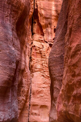 The Siq, wall texture, canyon of Petra, Jordan