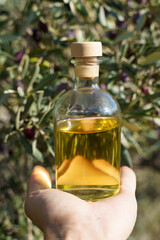 Olive oil with olive tree branch background. Natural oil for food or cosmetics from natural...