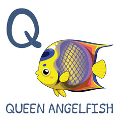 Cute Sea Animal Alphabet Series. Q is for Queen angelfish. Vector cartoon character design illustration.