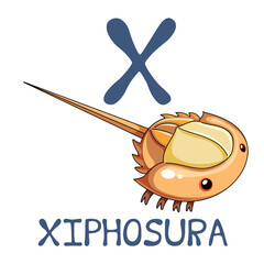 Cute Sea Animal Alphabet Series. X is for Xiphosura. Vector cartoon character design illustration.