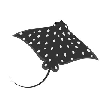 wild marine stingray cartoon character vector illustration. Comic sea creatures, underwater animal isolated on white background. Wildlife