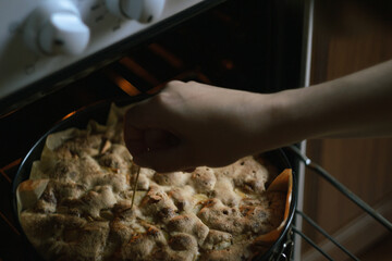 Female hands check the readiness of Charlotte's apple pie and open the oven