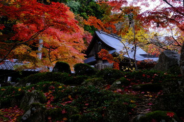 紅葉　永源寺　滋賀県　秋